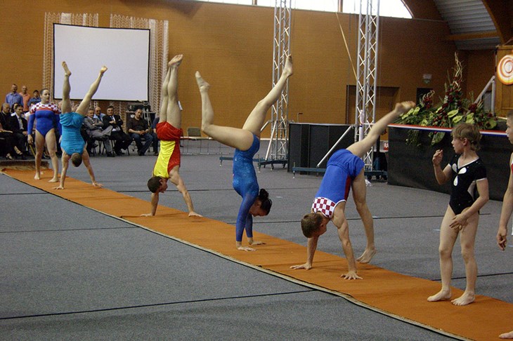 Sjajni gimnastičari