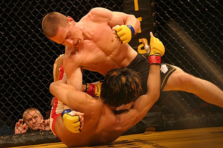 Sportnet.hr MMA TOP 5 - Lipanj