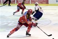 Klagenfurt Medvjedima ostao neosvojiv