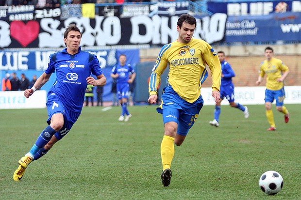 Div ostao u Zaprešiću