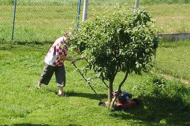 Slika 1 od 1.