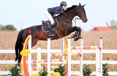 FEI World Cup Zagreb: Svjetska elita preponskog jahanja vraća se u Zagreb nakon 18 godina