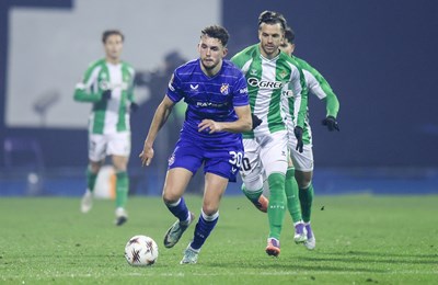 Topić: 'Borili smo se koliko smo mogli, danas očito nije išlo'