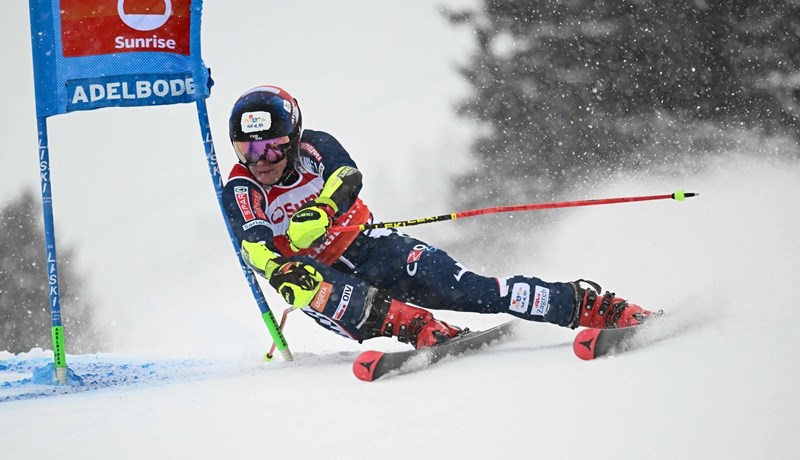 Tko su hrvatski olimpijci - od najmlađe Vučinić pa do najstarijeg Zubčića