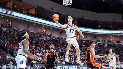 Divlje mačke grebu, paunovi lete, šuteri šutiraju