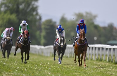 Tradicionalne Uskrsne galopske utrke vraćaju se na Hipodrom Zagreb
