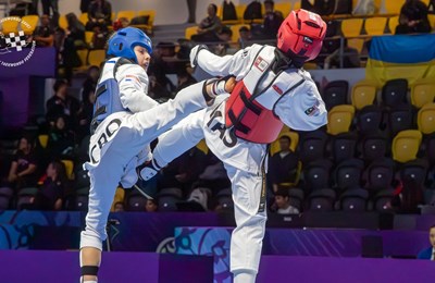 Dragan Primorac novi predsjednik Hrvatskog taekwondo saveza