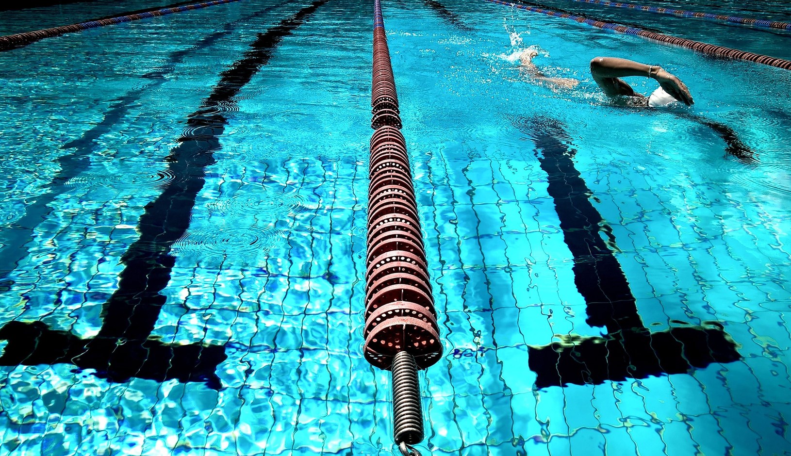 Trojica mladih hrvatskih plivača ostvarila su izniman uspjeh upisom na Harvard