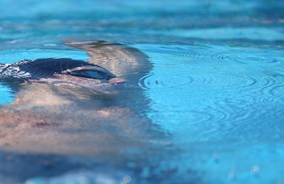 Nikola Miljenić izborio polufinale na 100 mješovito na Europskom prvenstvu u malim bazenima