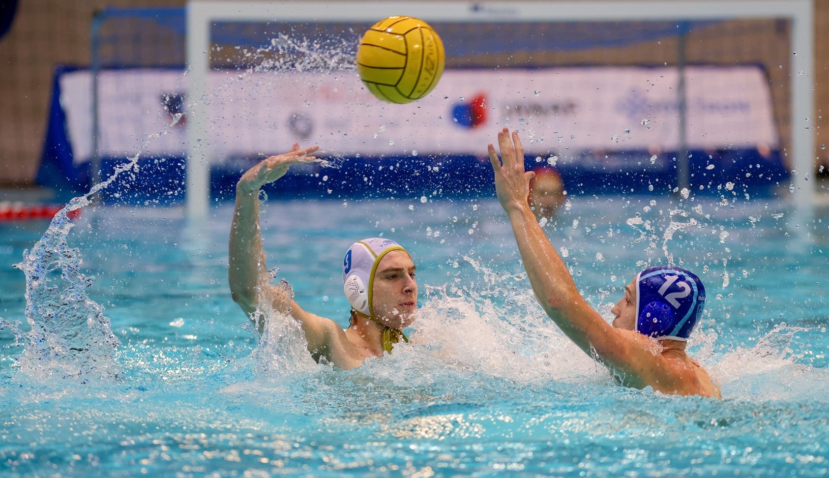 Nakon osvajanja Kupa, Mladostaši se okreću Ligi prvaka i gostovanju u Kragujevcu