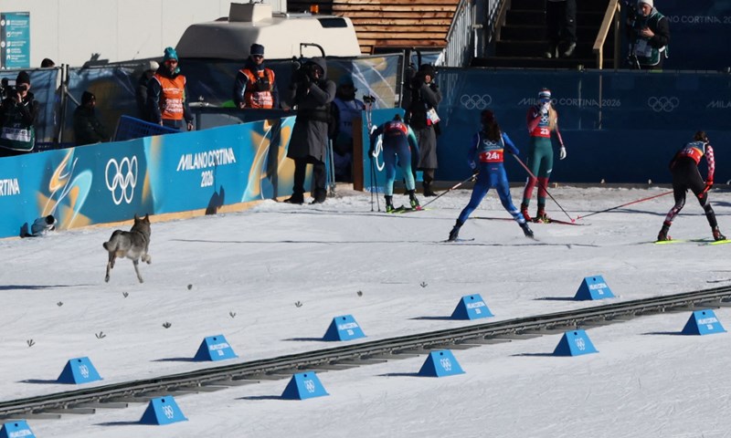Hadžić: 'Jedna Norvežanka rekla mi da smo kod njih u novinama glavne priče Klaebo i ja'