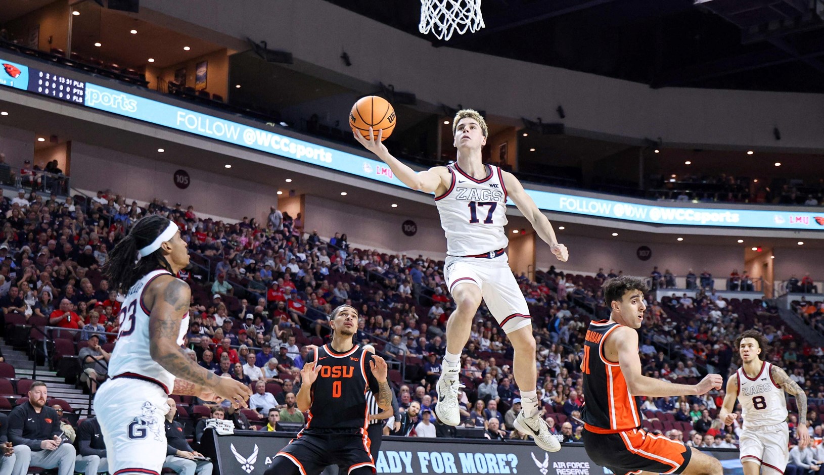 Divlje mačke grebu, paunovi lete, šuteri šutiraju