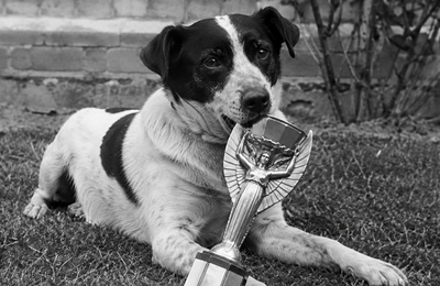 Priča o Picklesu, psu koji je 'spasio' SP 1966. - pronašao je trofej koji je kasnije opet ukraden